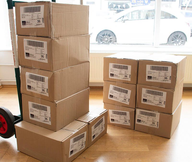 Bluebird Care Lowestoft & Great Yarmouth Folded Leaflets