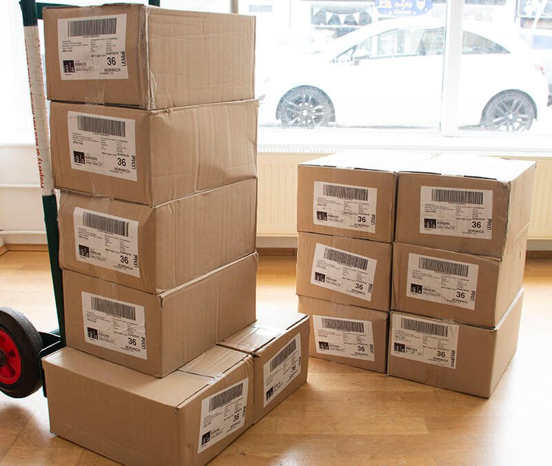 Boxes of Bluebird Care Folded Leaflets